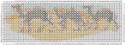 pattern Animals Camels