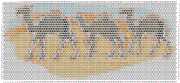pattern Animals Camels