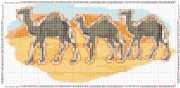 pattern Animals Camels