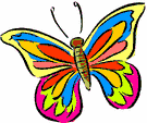 image Animals Butterflies
