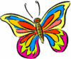 image  Animals Butterflies
