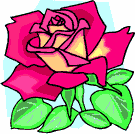 image Plants Roses