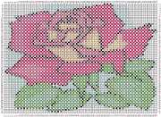 pattern Plants Roses