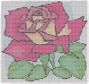 pattern Plants Roses