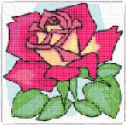 pattern Plants Roses