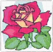 pattern Plants Roses