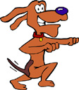 image Sports Running Animals Dogs
