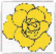 pattern Plants Roses