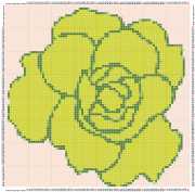 pattern Plants Roses