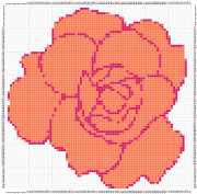 pattern Plants Roses