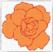pattern Plants Roses