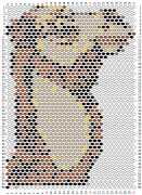 pattern Animals Camels