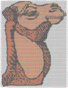 pattern Animals Camels