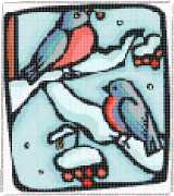 pattern Animals Birds Weather Winter