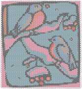 pattern Animals Birds Weather Winter