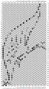 pattern Animals Butterflies