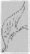 pattern Animals Butterflies