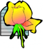 image  Plants Roses