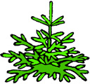 image Plants Trees