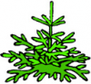 image  Plants 