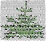 pattern Plants Trees