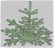 pattern Plants Trees
