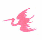 image Animals Flamingo
