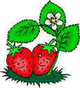 image Plants Strawberries