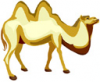 image  Animals Camels