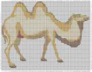 pattern Animals Camels