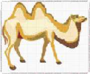 pattern Animals Camels