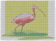 pattern Animals Flamingo