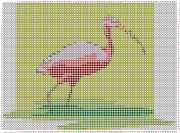 pattern Animals Flamingo
