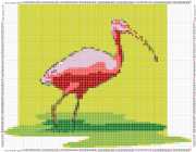 pattern Animals Flamingo