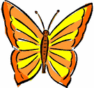 image Animals Butterflies