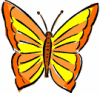 image  Animals Butterflies