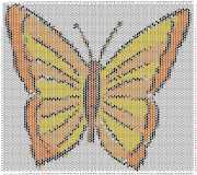 pattern Animals Butterflies