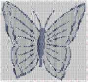 pattern Animals Butterflies