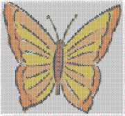 pattern Animals Butterflies
