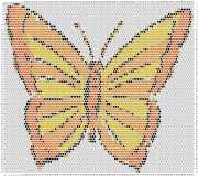 pattern Animals Butterflies