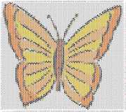 pattern Animals Butterflies