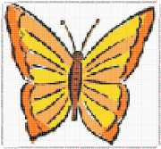 pattern Animals Butterflies