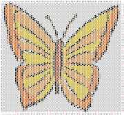 pattern Animals Butterflies