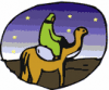 image  Animals Camels