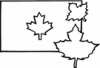 image  Countries 