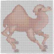pattern Animals Camels