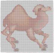 pattern Animals Camels