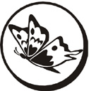 image Animals Butterflies