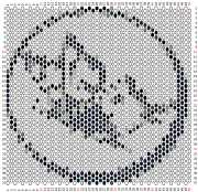 pattern Animals Butterflies