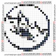 pattern Animals Butterflies